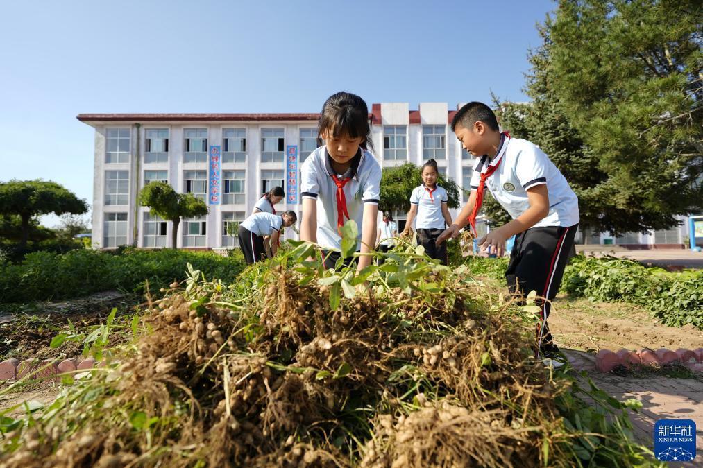 永利信誉官网